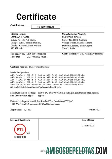 Certificado de empresa da Índia para impressão, modelo Word e PDF